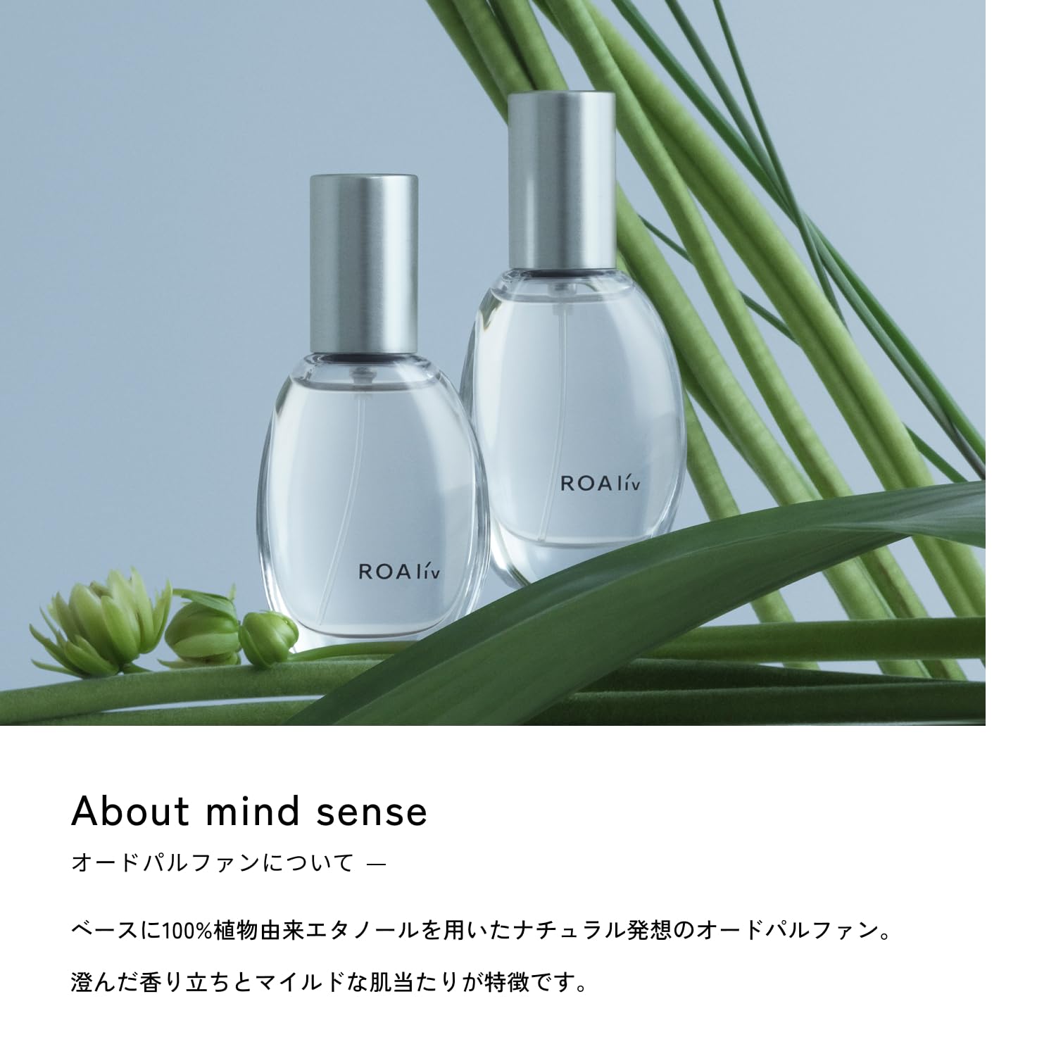 Amazon | ROAliv（ロアリブ） マインドセンス 20mL フレグランス